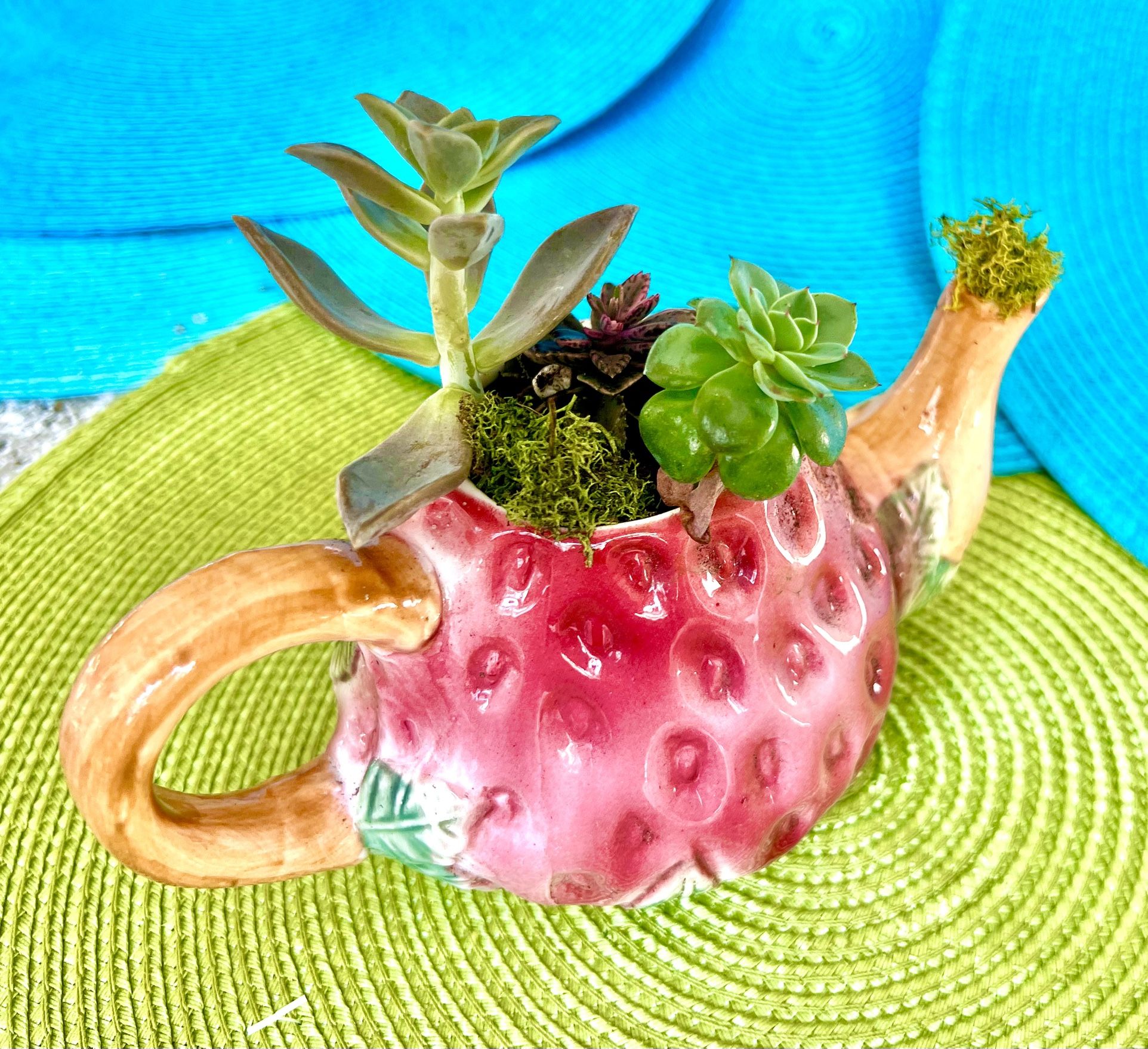 Beautiful vintage strawberry tea kettle filled with Live succulents stones and moss