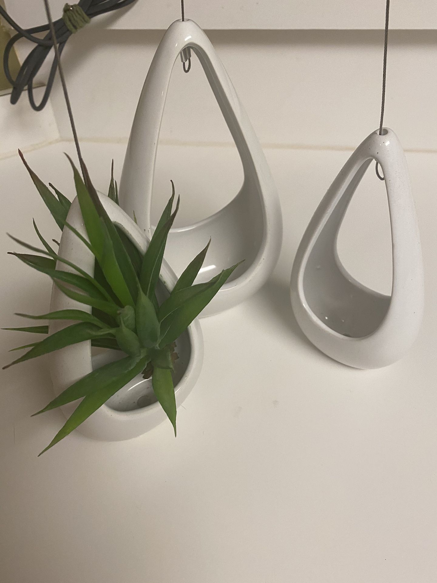 Hanging Pendants