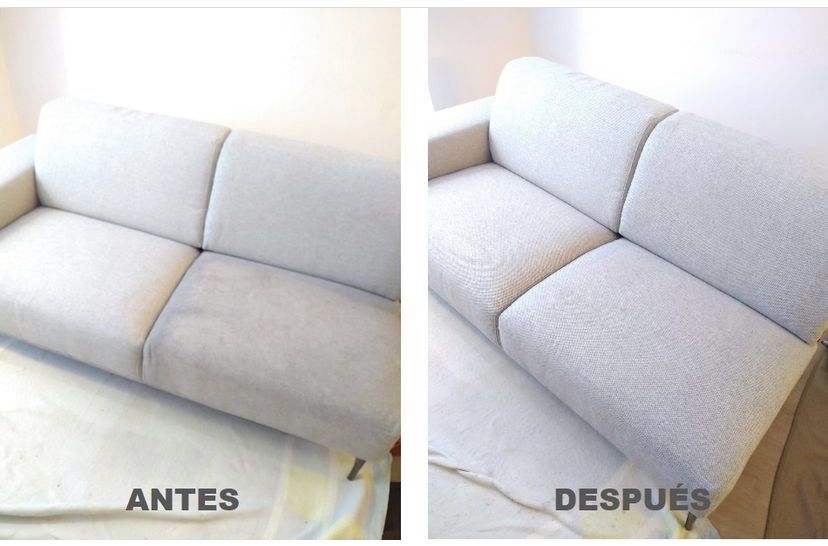 Carpet Upholstery And Sofa Cleaner MorsaWash