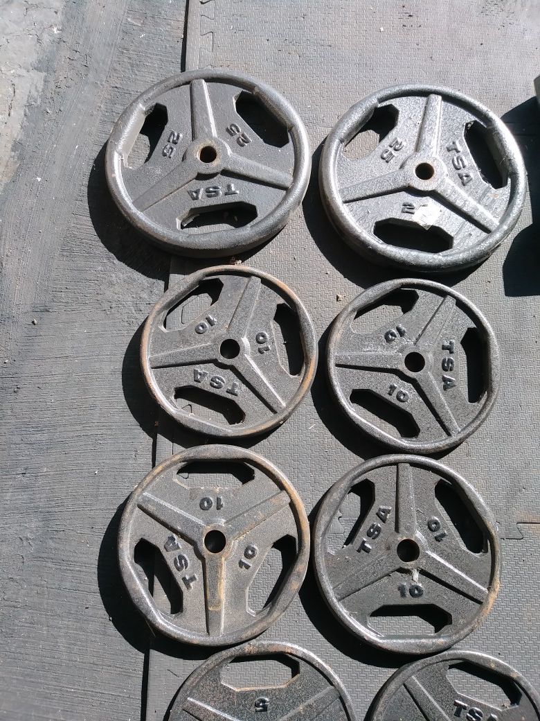 TSA GRIP HANDLE OLYMPIC PLATE WEIGHTS for Sale in San Diego, CA OfferUp