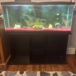 Black,$450,55” Fish Tank Thumbnail