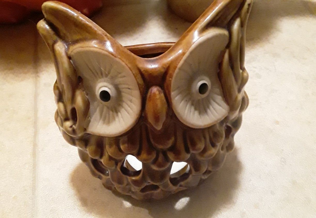 Owl kitchen decor