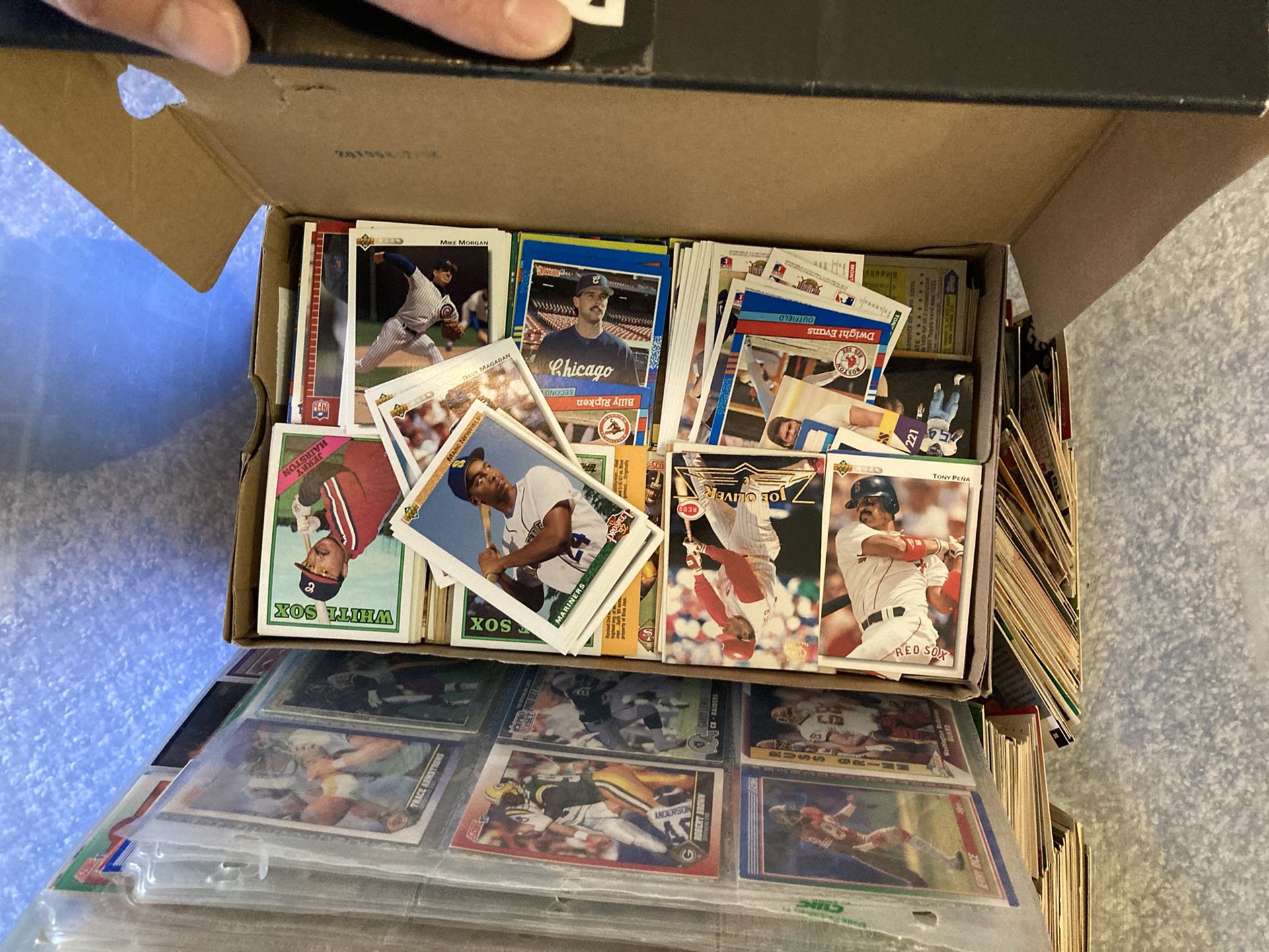 Sports Card Collection