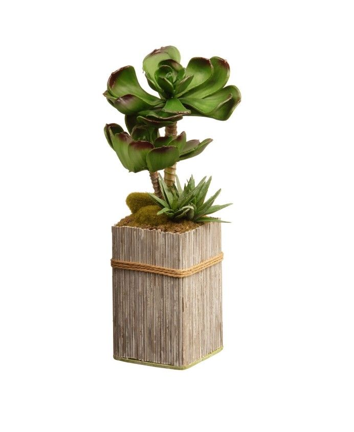 Artificial 11" Garden Accents Succulent Plant Bamboo Style Pot