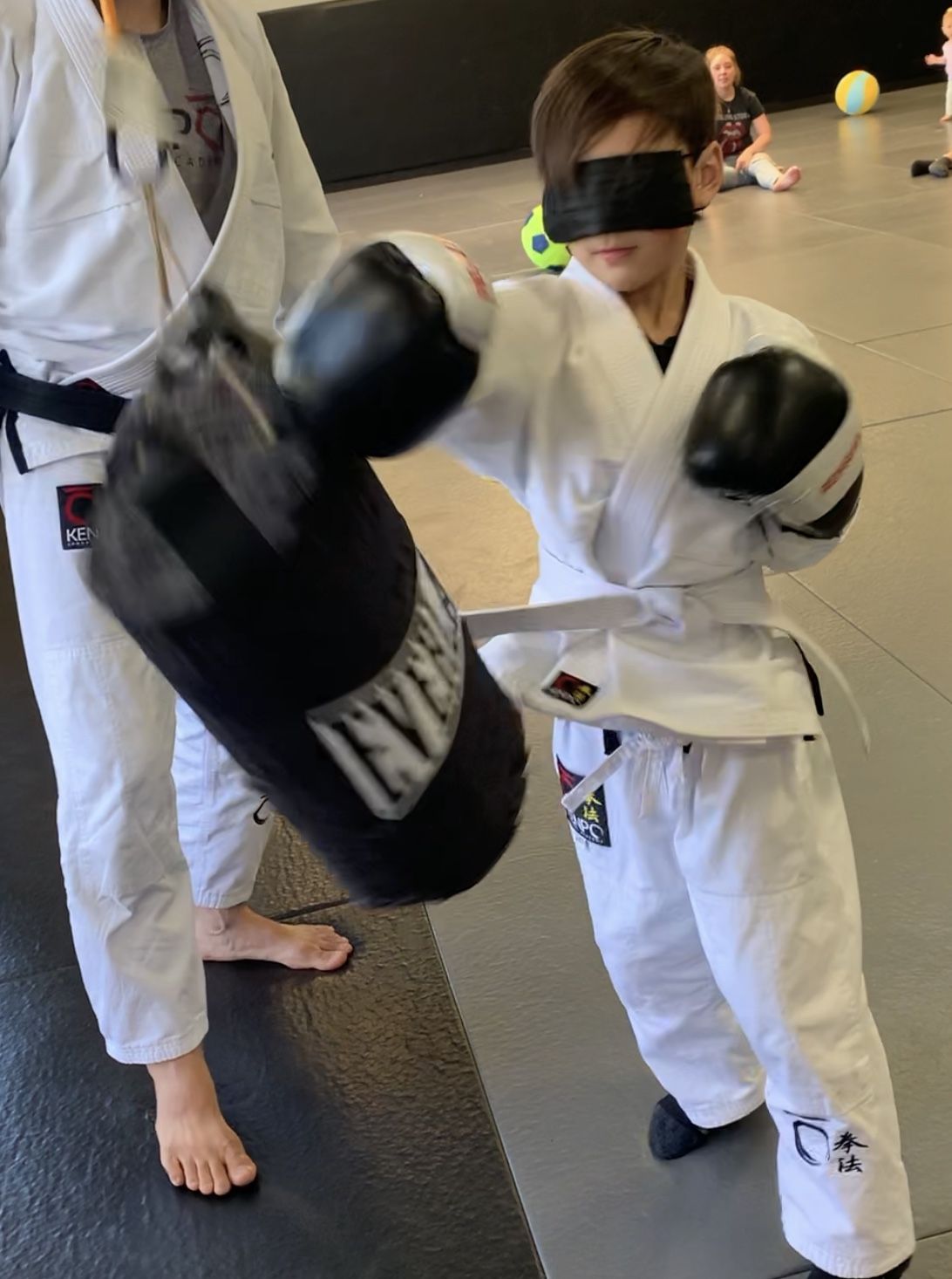 Piñata - Everlast punching bag