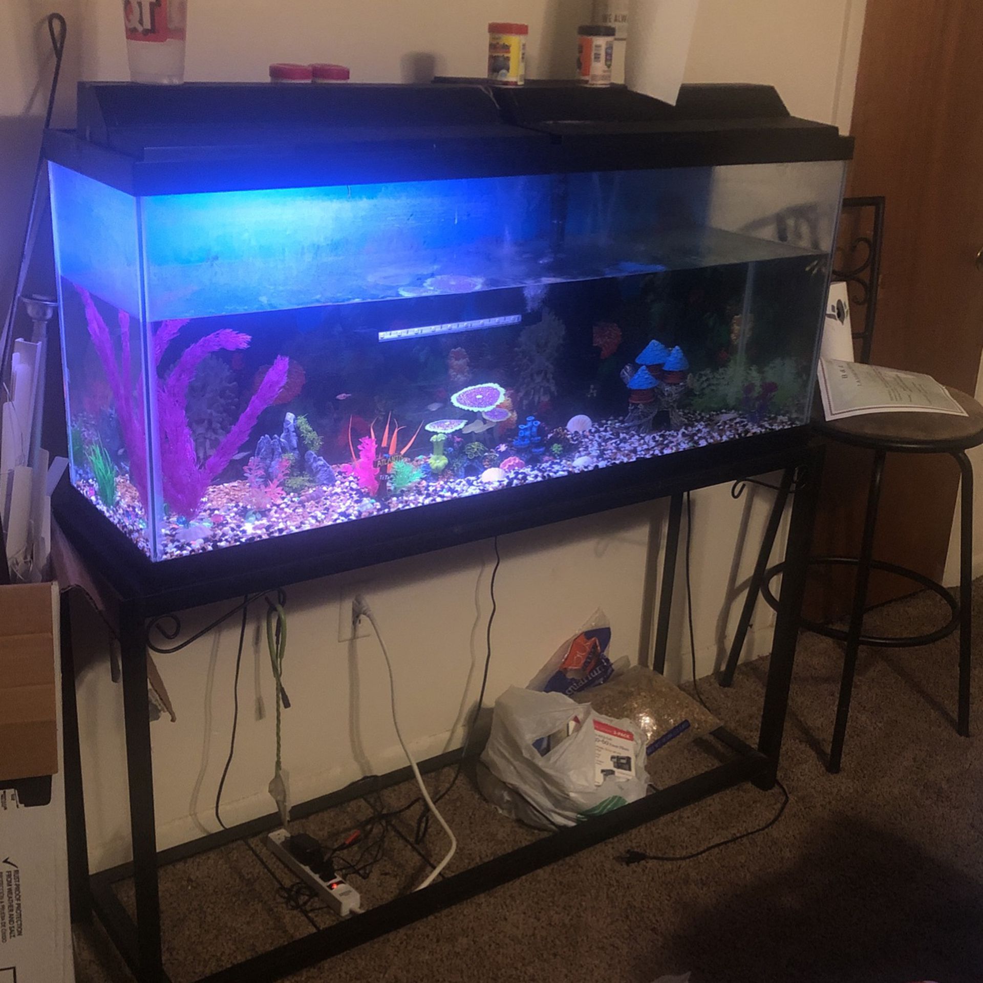 Fish Tank 65 Inches 