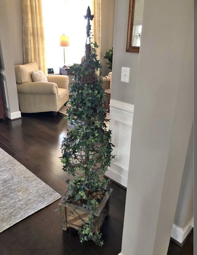 Topiary With Lights