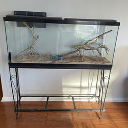50 Gallon Tank + Stand.  The dimensions are 48x12x21 Thumbnail