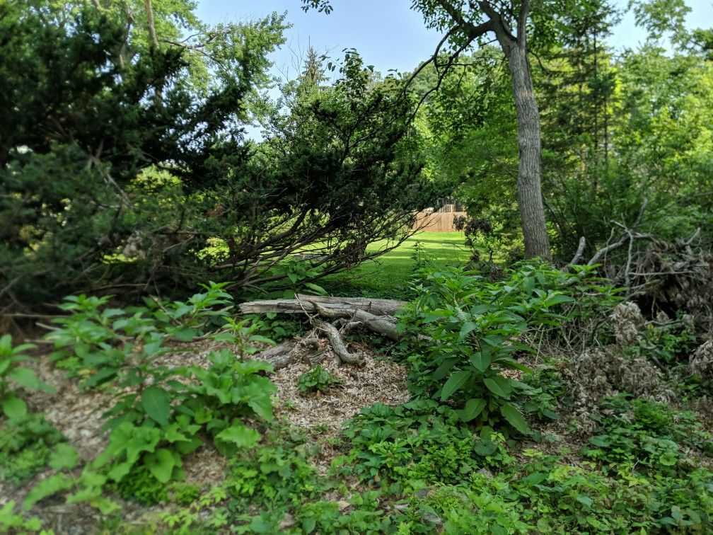 Vacant Land - Moline, Illinois