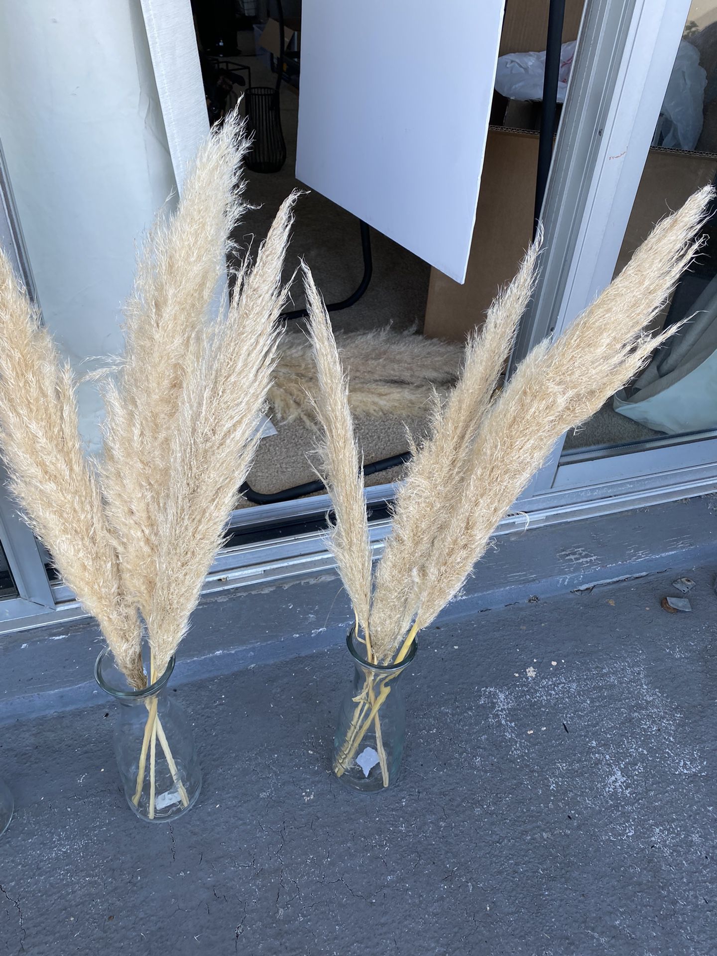 Wedding Or Home Decor Pampas Grass With Vases