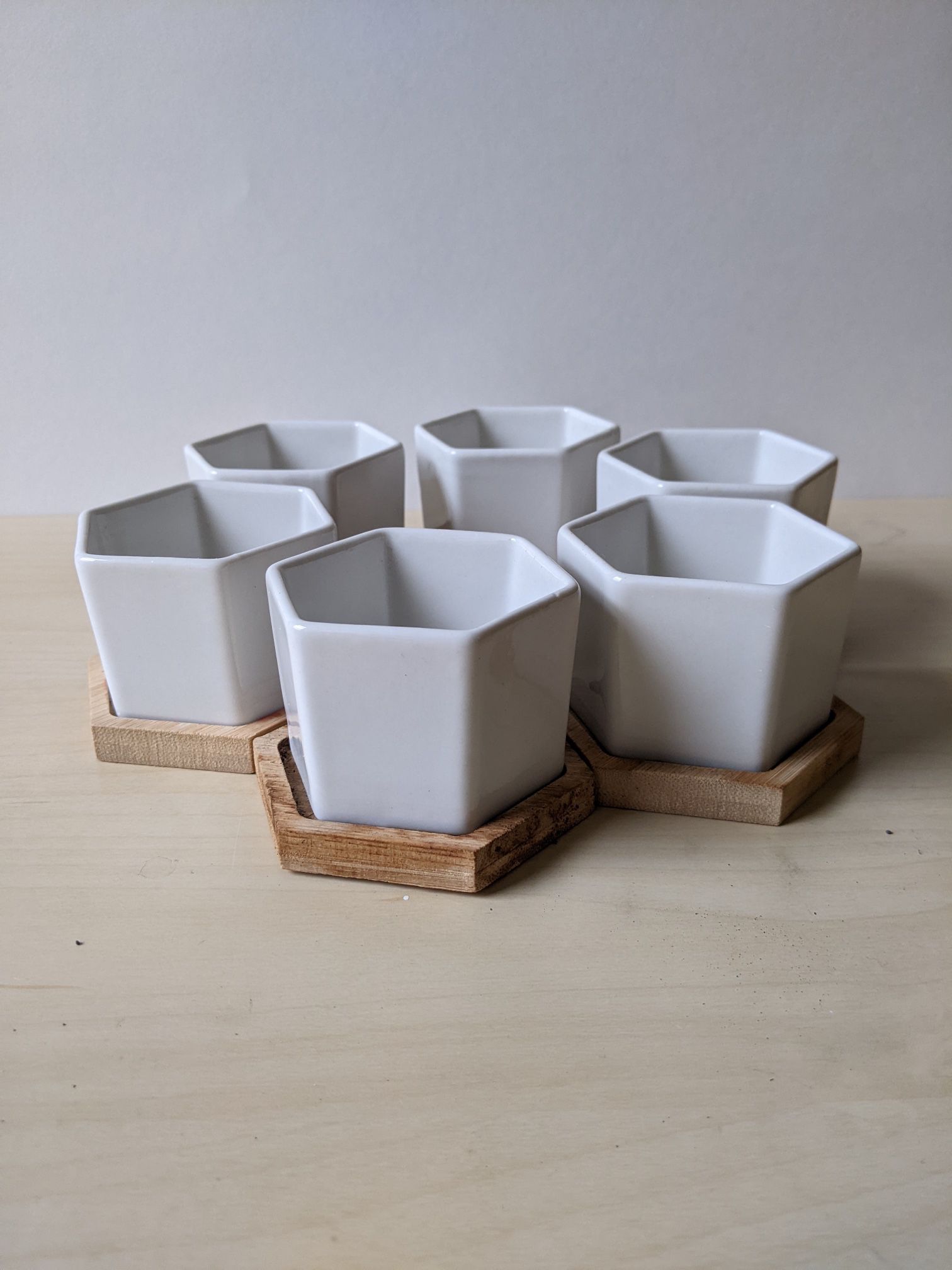 6 Hexagonal Tiny Plant Pots - With Drainage Holes And Bamboo Drainage Trays; Great For Succulents Or Cuttings
