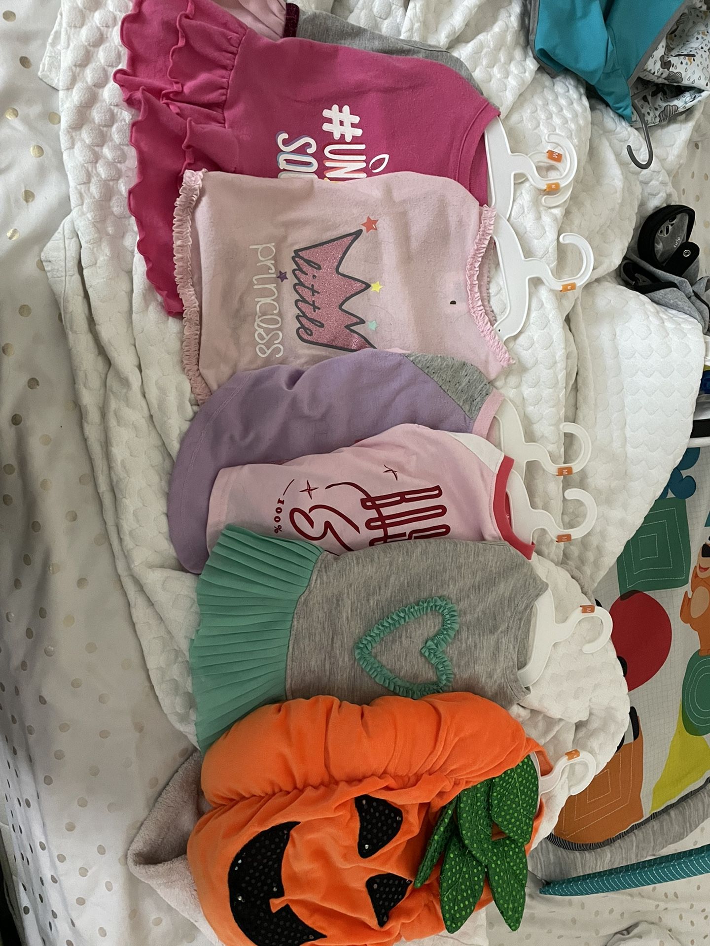 Dog Clothes