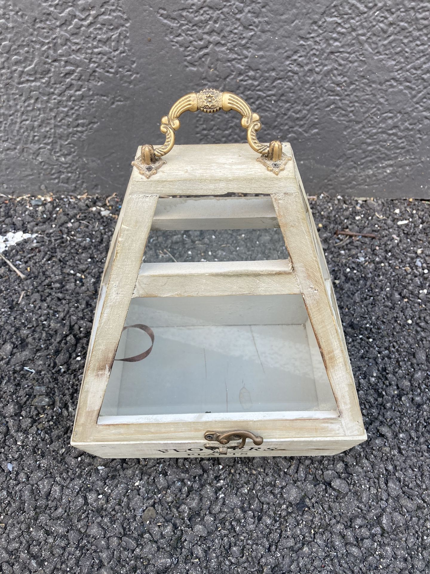 Small Terrarium
