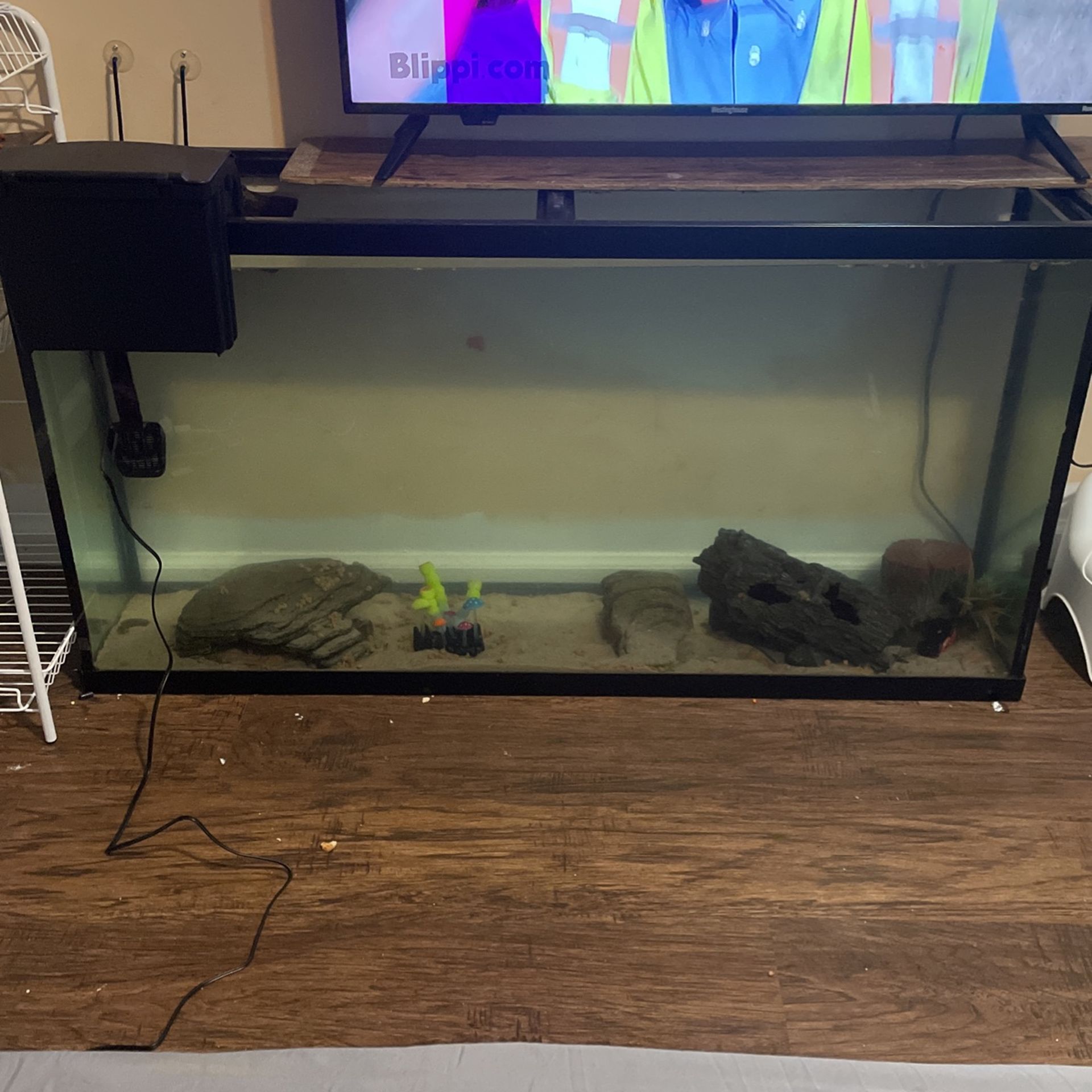 Fish Tank