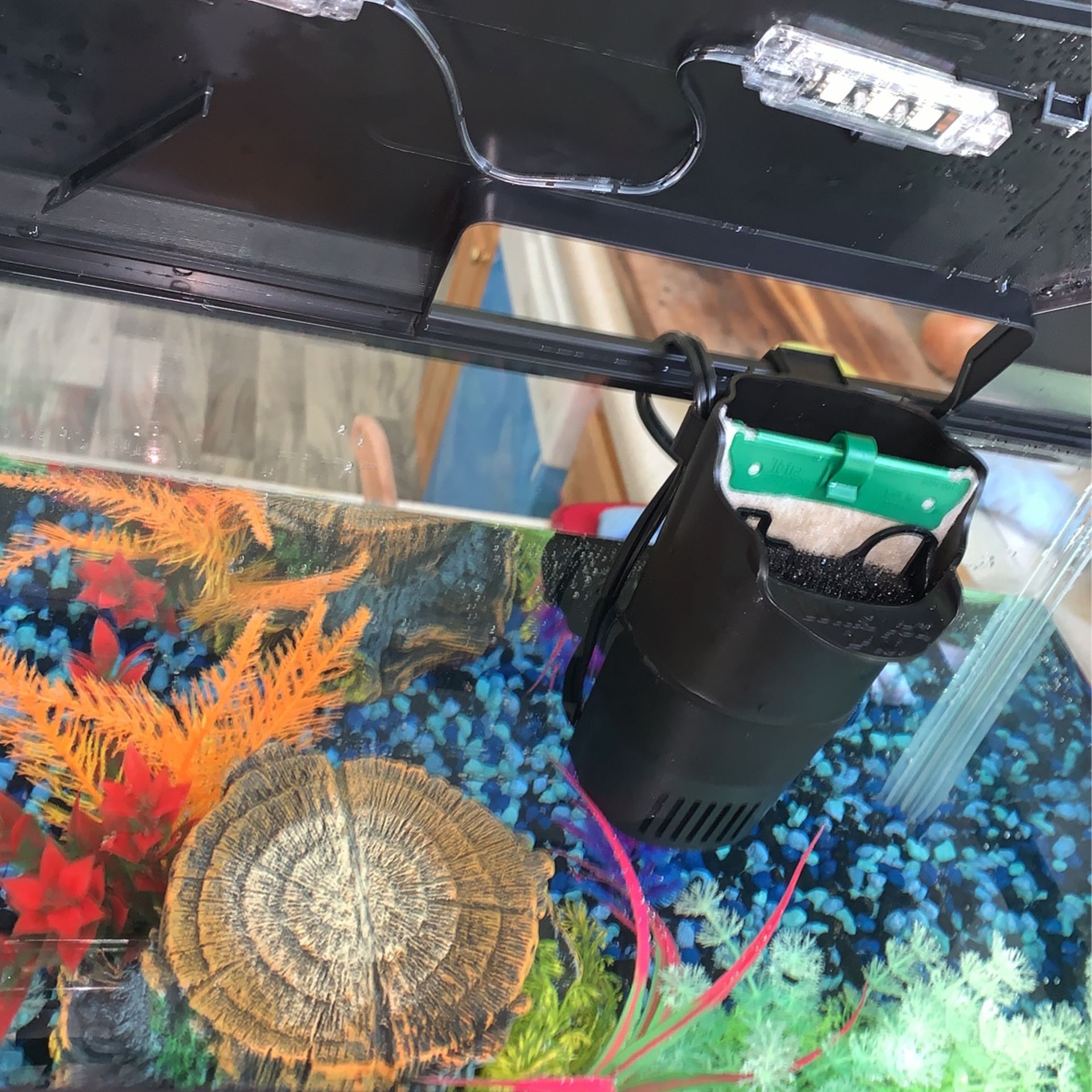 Fish Tank