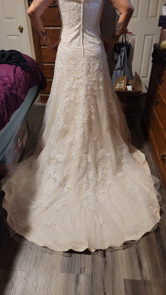 Davids Bridal Wedding Dress Size 14 & Accessories 