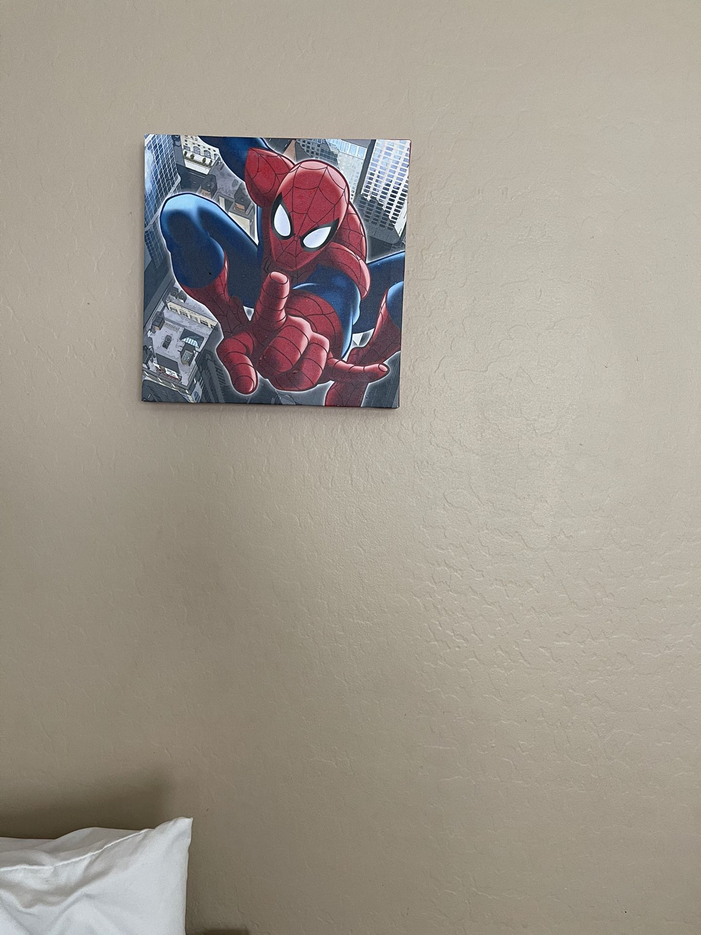Spider-Man Bedroom Set and DecorTwin 
