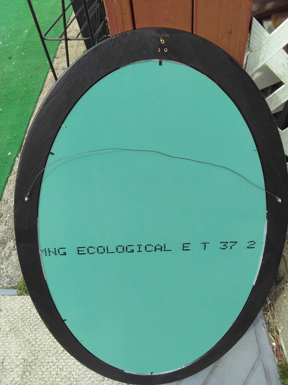 Mirror in Oval Frame.