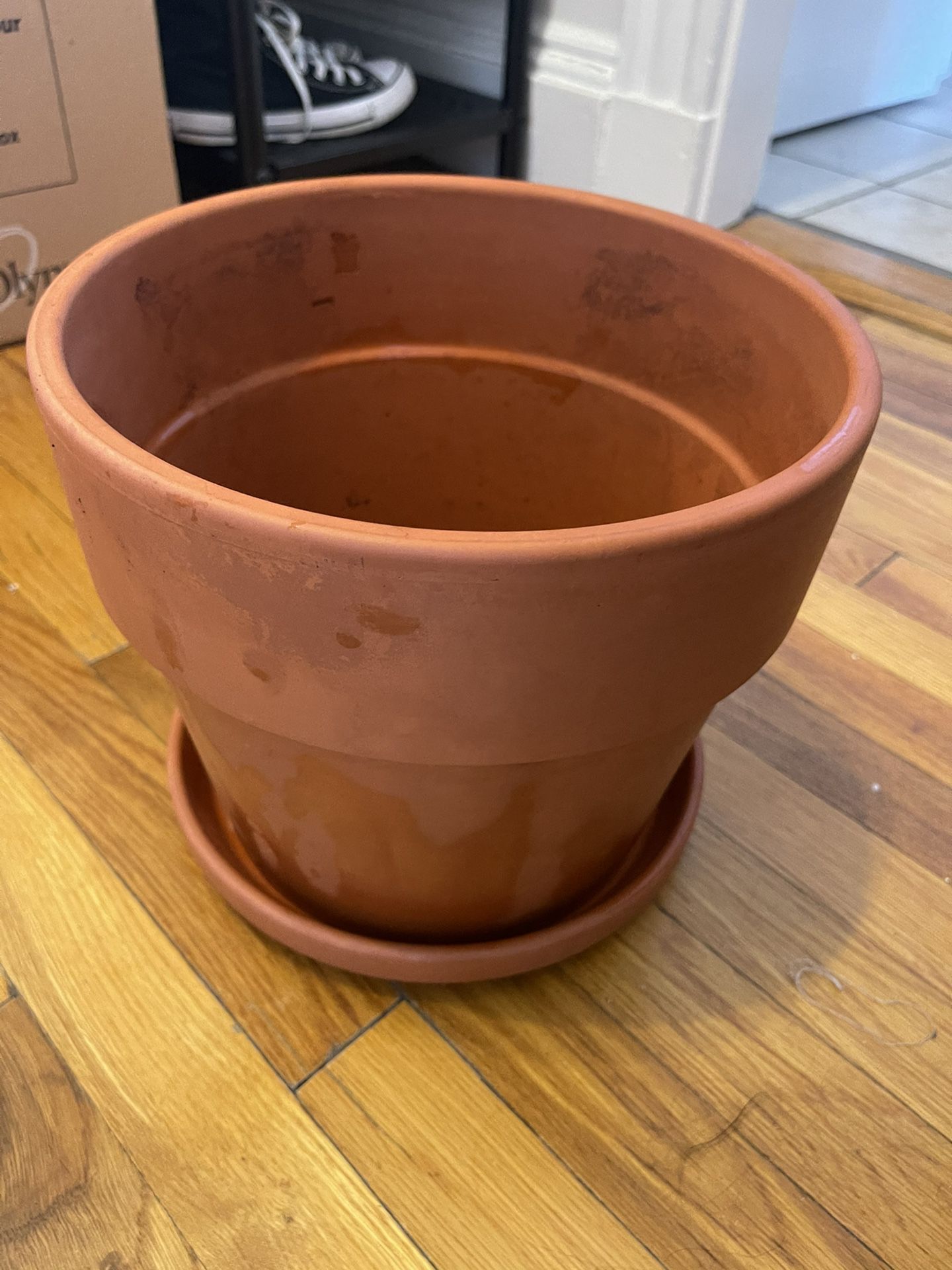 Large Plant Pot 10l $20