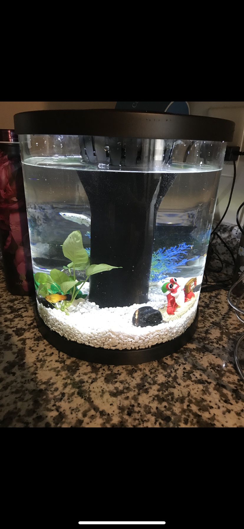 Light Up Fish Tank