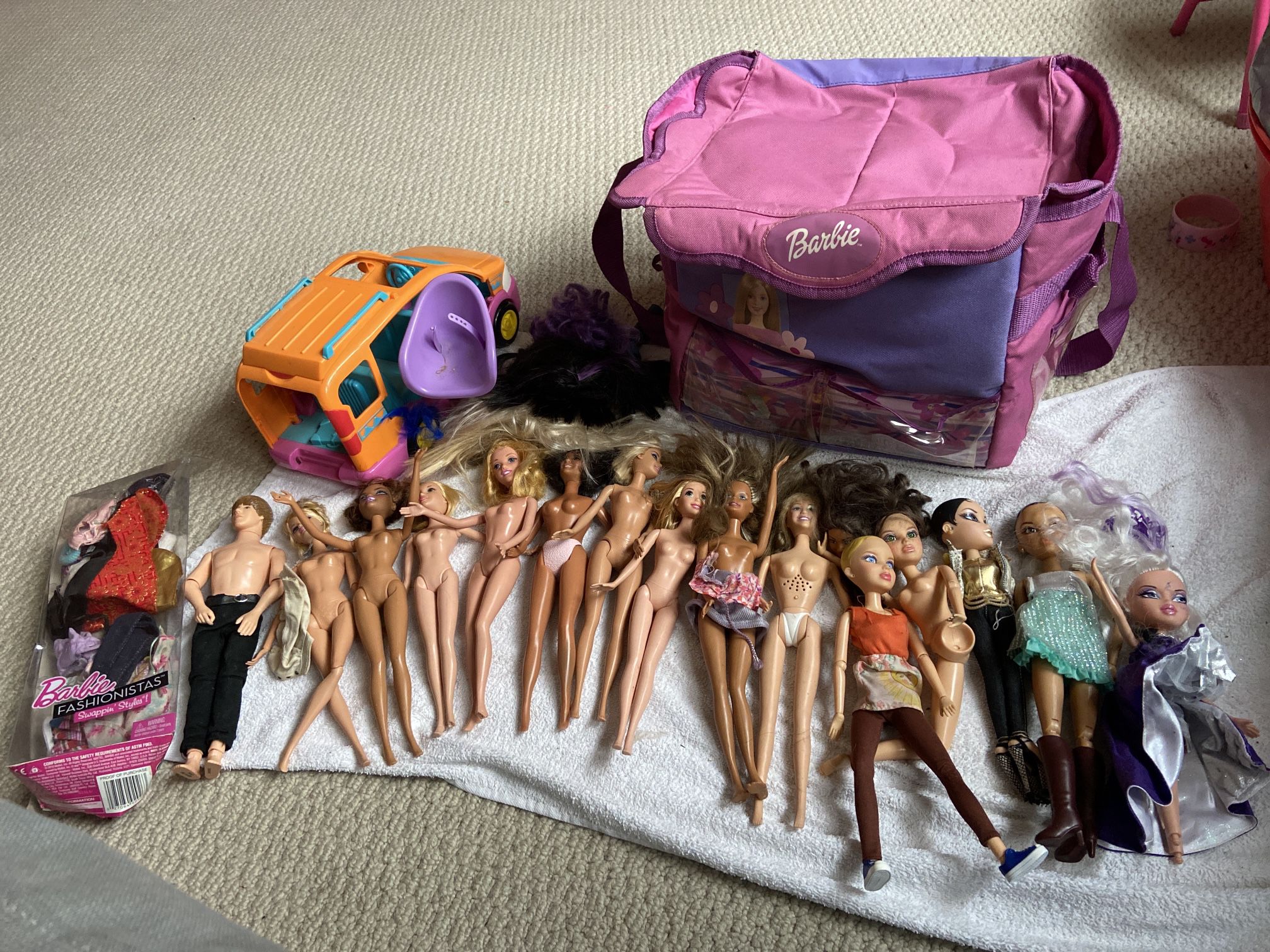 Barbie Lot Barbie bag Barbie clothes Truck 