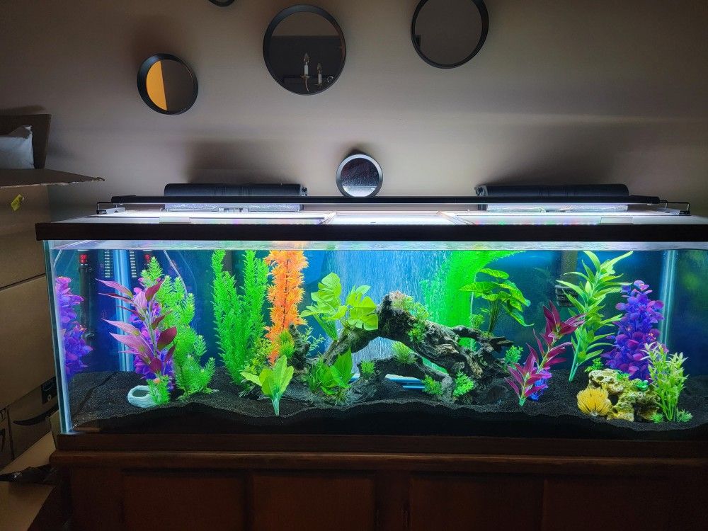 100 Gallon Fish Aquarium