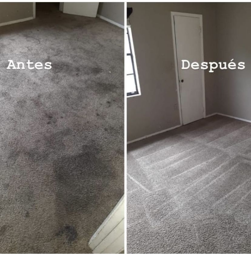 Carpet Upholstery And Sofa Cleaner MorsaWash