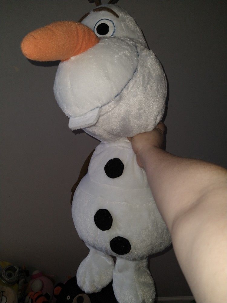 Huge Lot Of Frozen Items