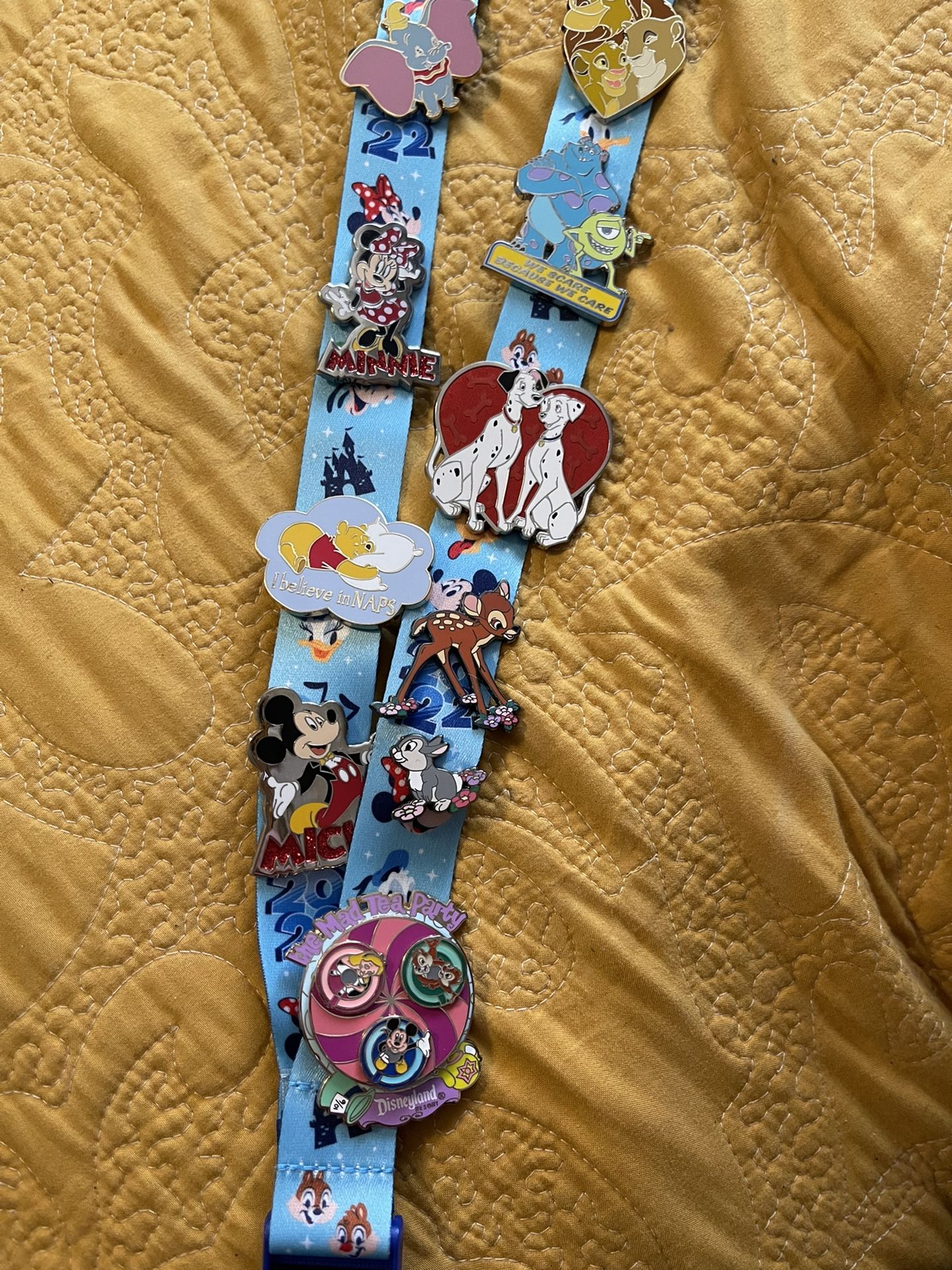 Disney Pins And Lanyard