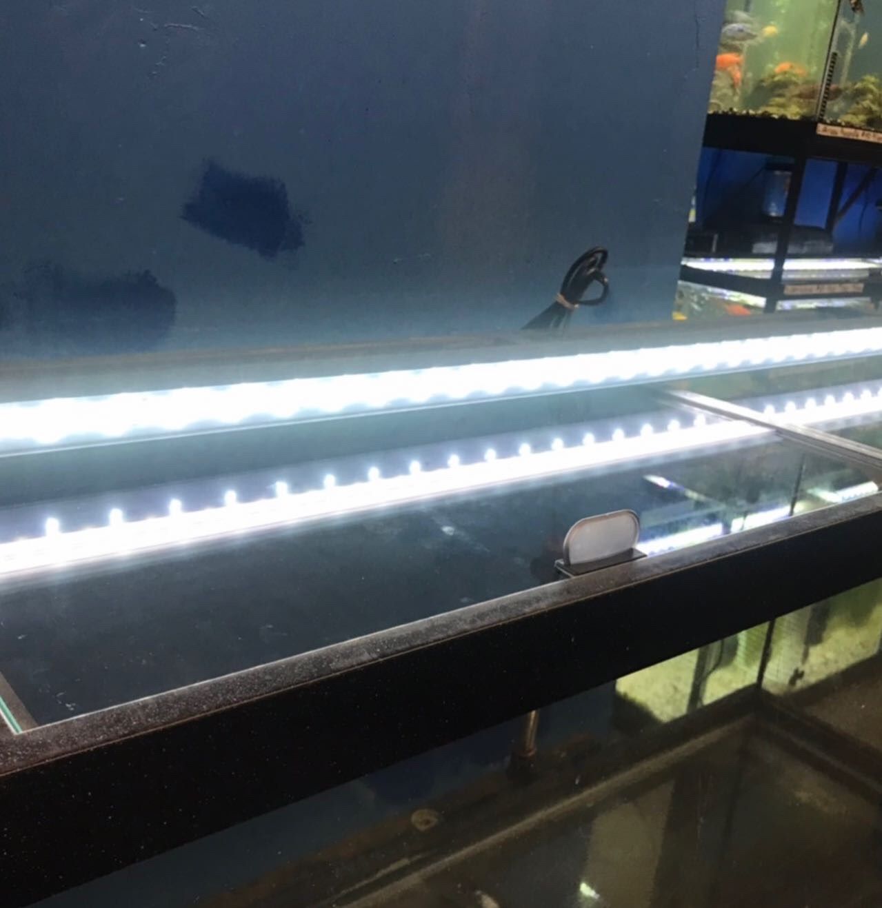 90 gallon Aquarium Fish Tank Complete $600