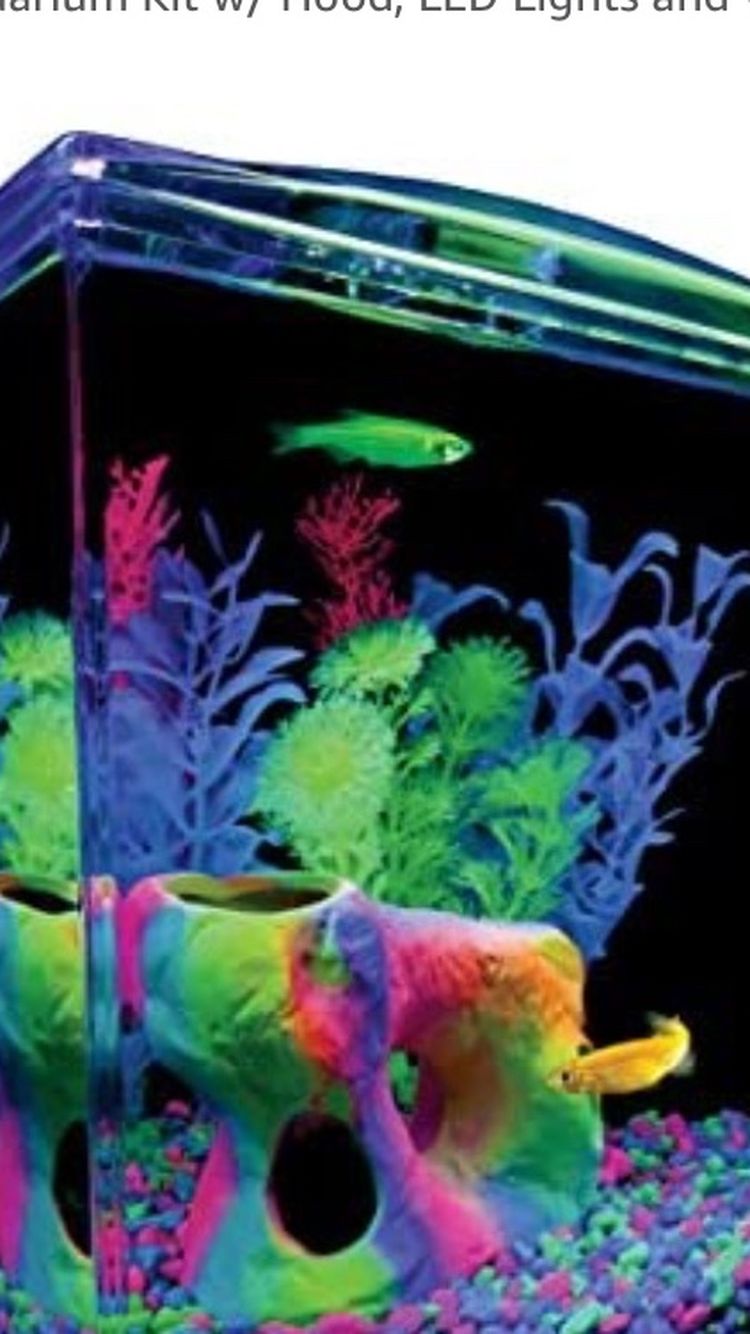 Fish Tank