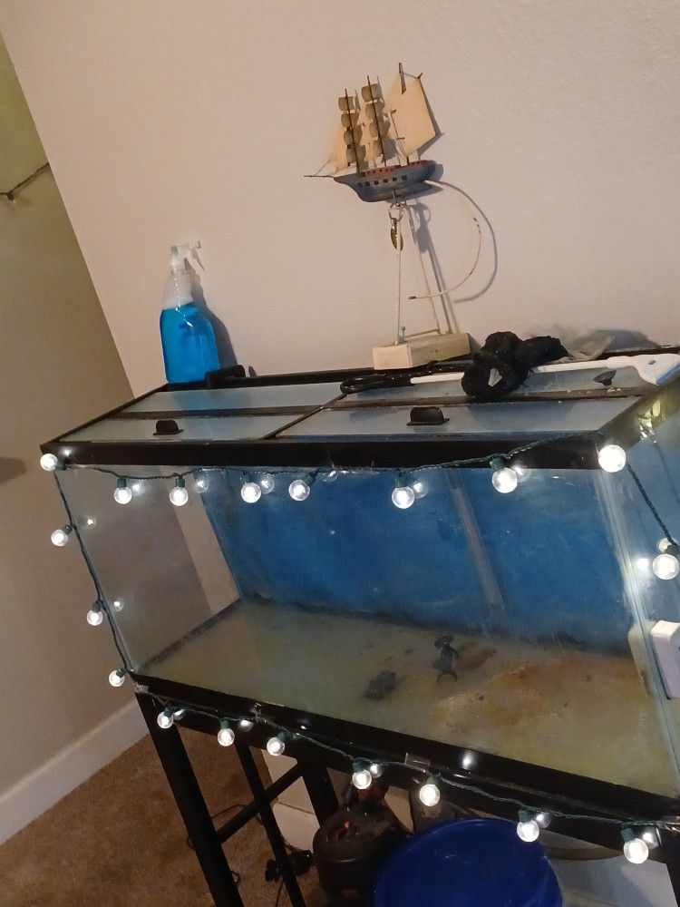 °40-50 ° GALLON -Fish Tank / AQUARIUM