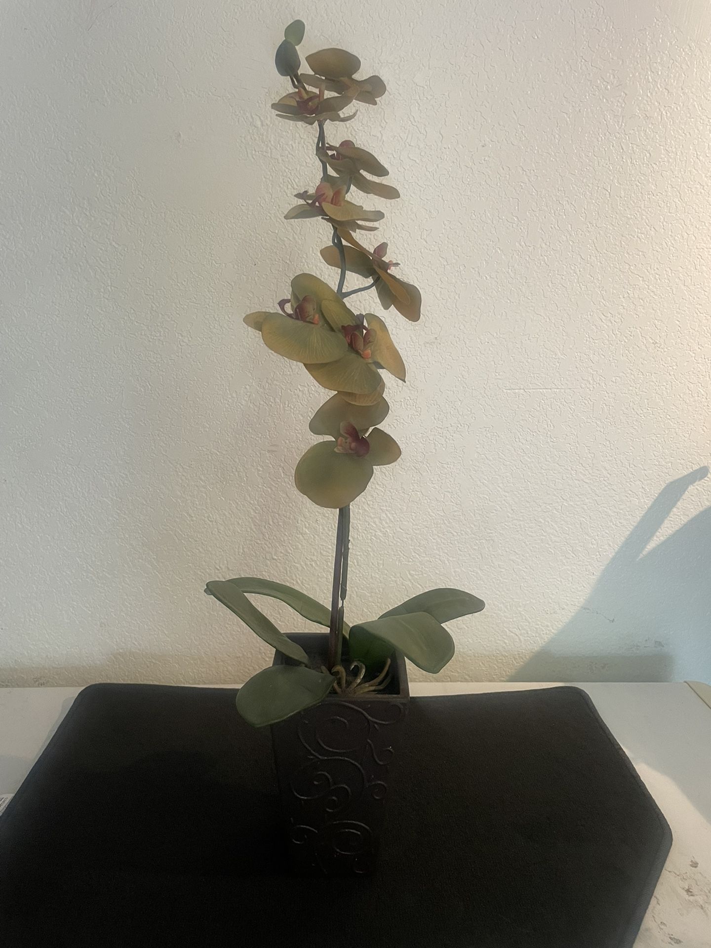 House Decor -artificial $10 For All 3