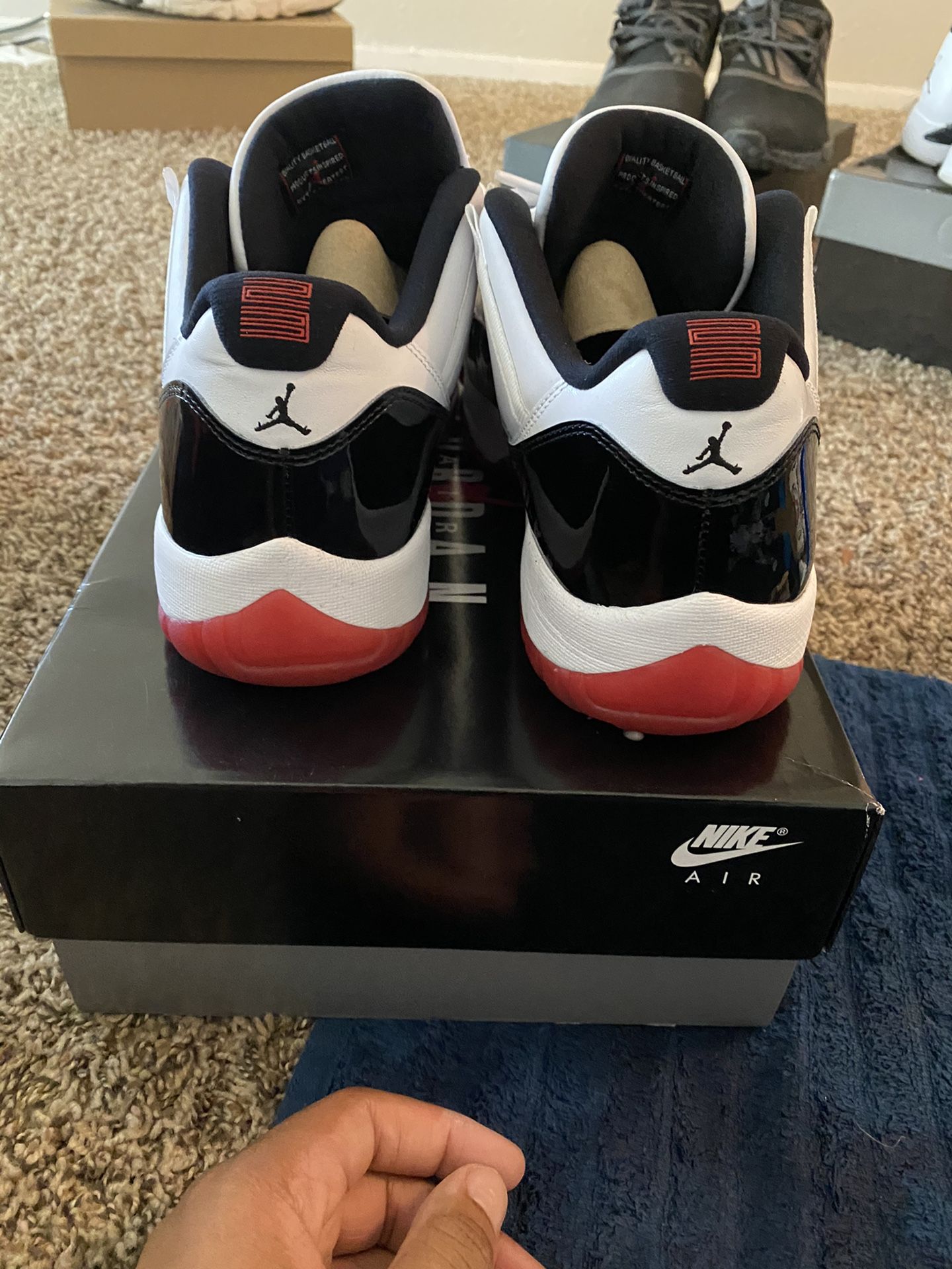 Retro Jordan Concord Bred 11s