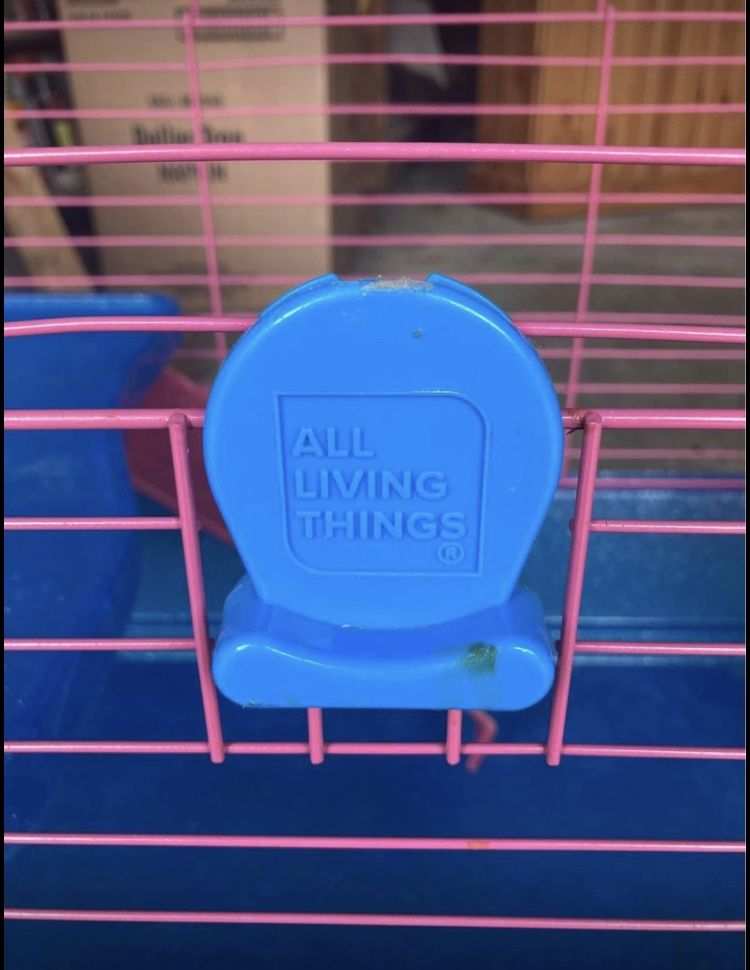 Guinea Pig Starter Cage
