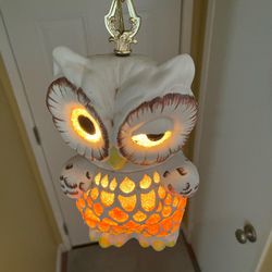 ***PENDING SALE***Vintage Mid Century Modern Pottery Lucite Owl Hanging Swag Lamp Thumbnail