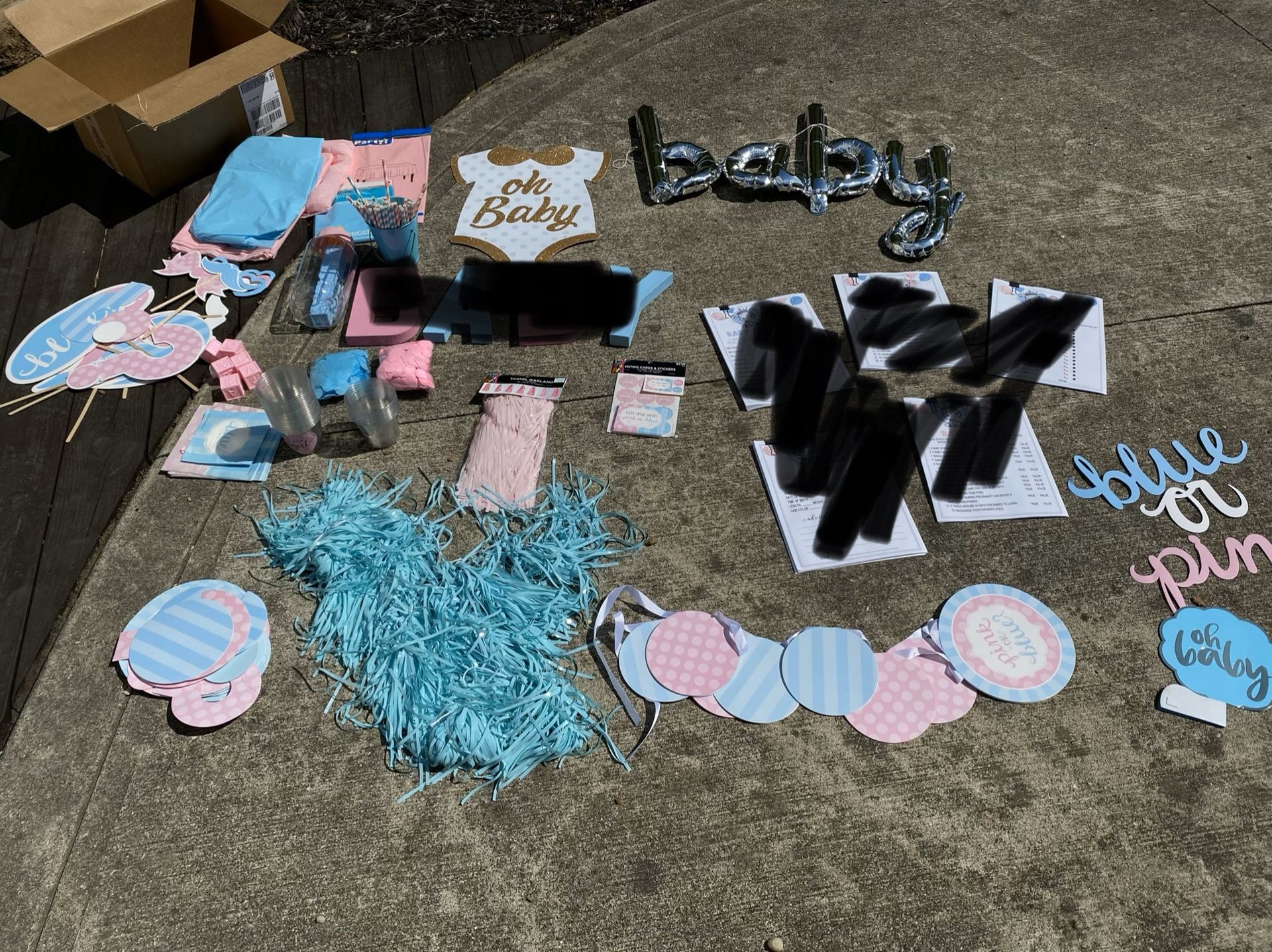 Gender Reveal Party Decorations