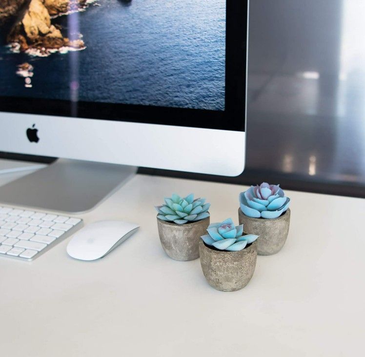 New Set 3 Greenery Mini Succulent Plants