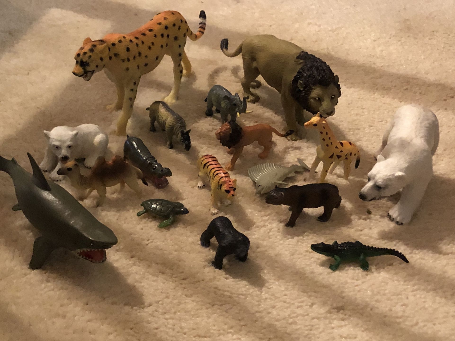 16 Plastic Animals 