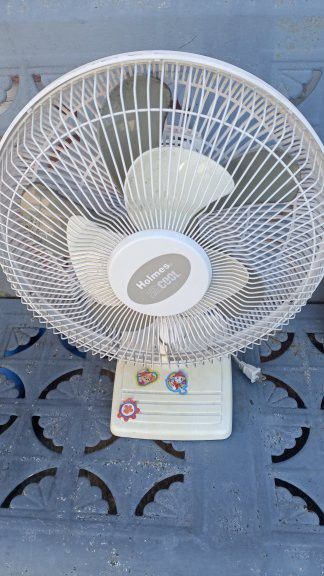 Fan