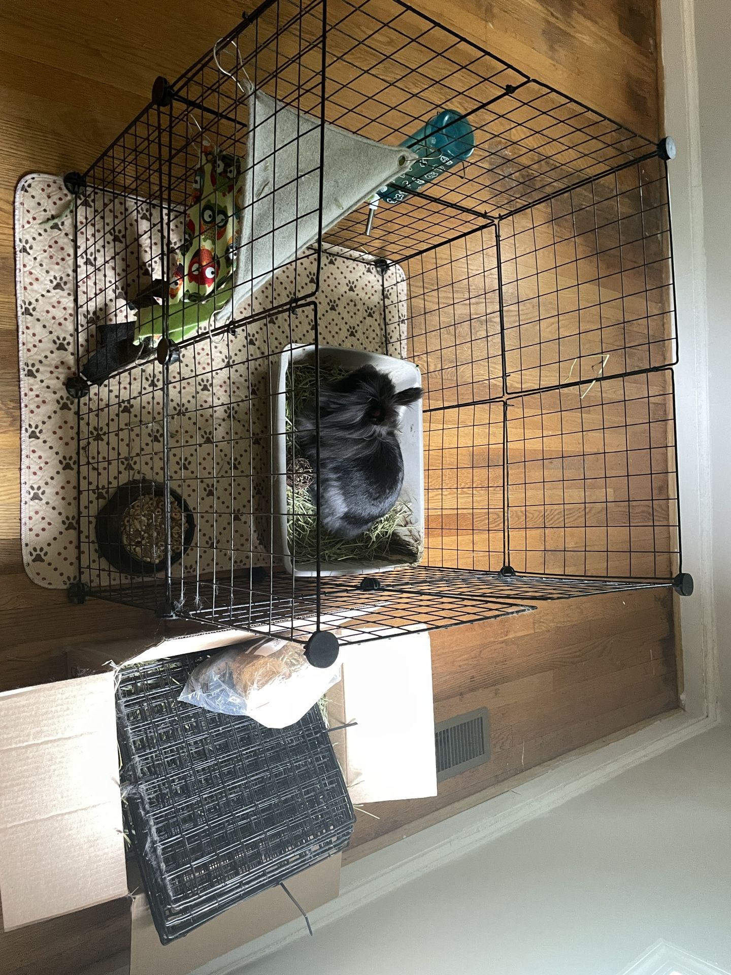 Rabbit Supplies