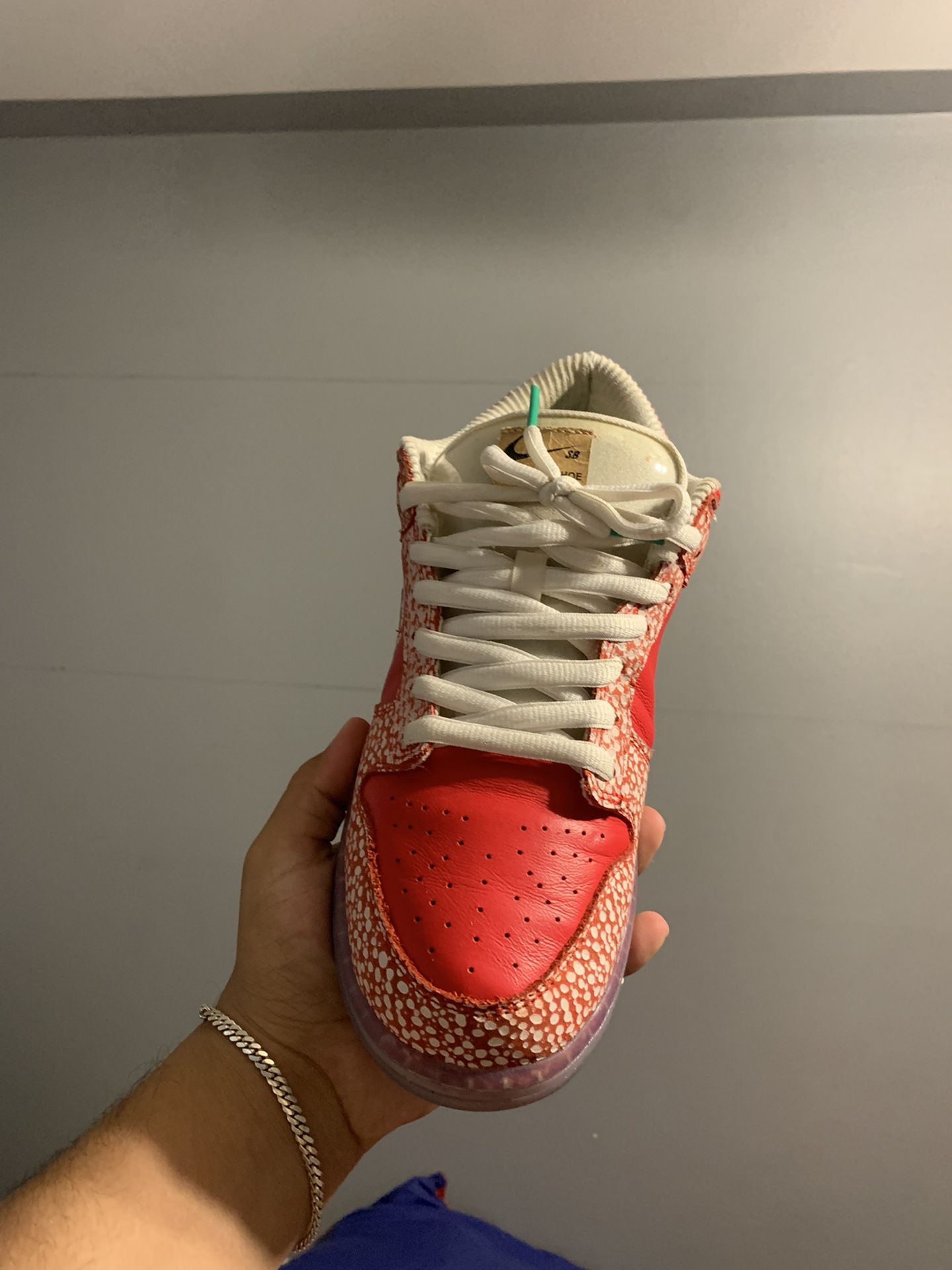 nike sb dunk stingwater