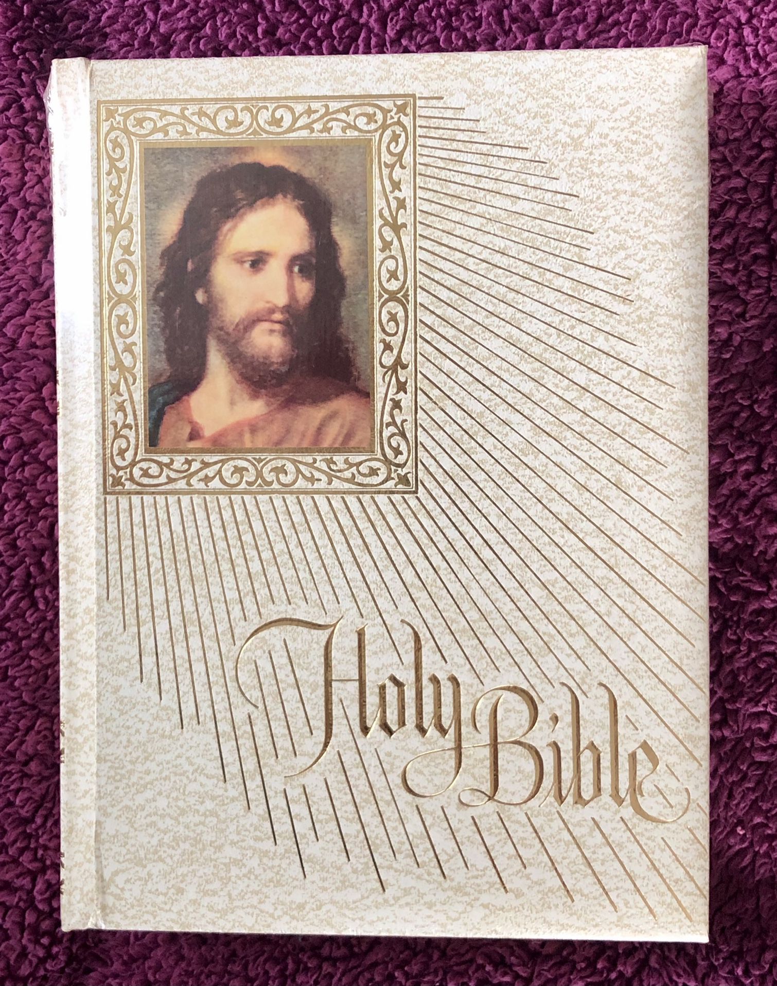 Holy Bible Fireside Family Edition NAB