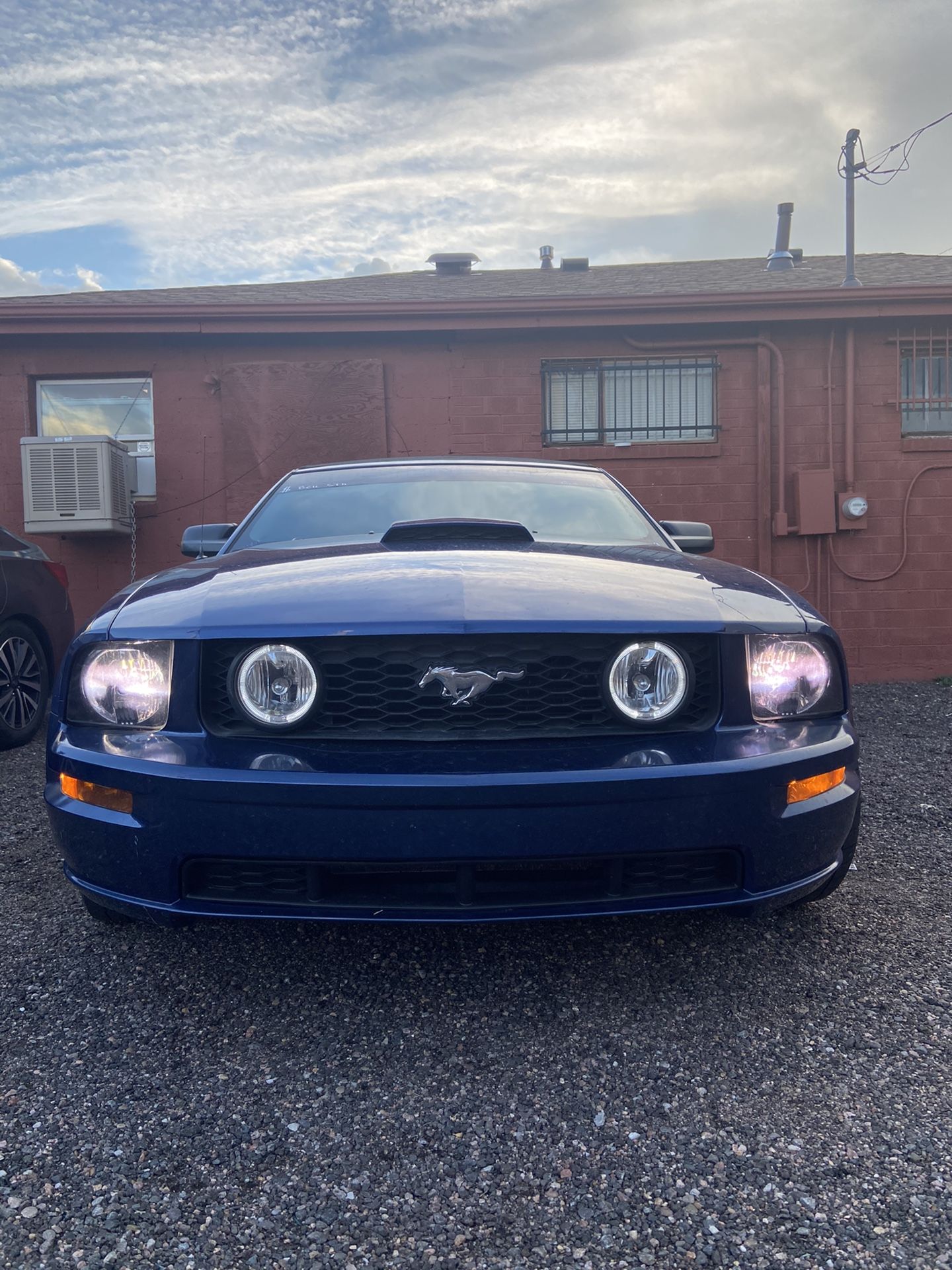 2009 Ford Mustang