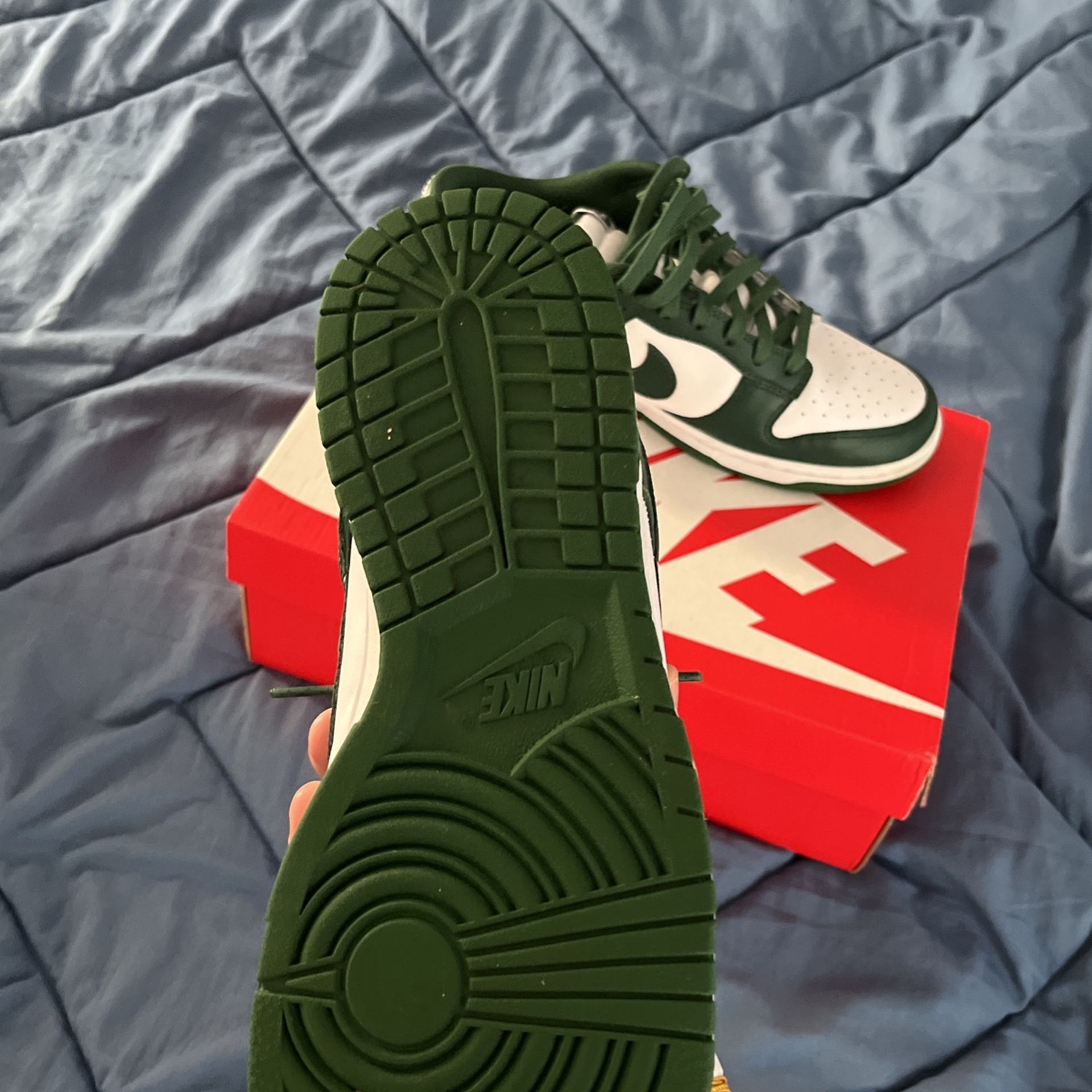 Michigan State Dunks Nike Dunk Low Retro Michigan State dunks