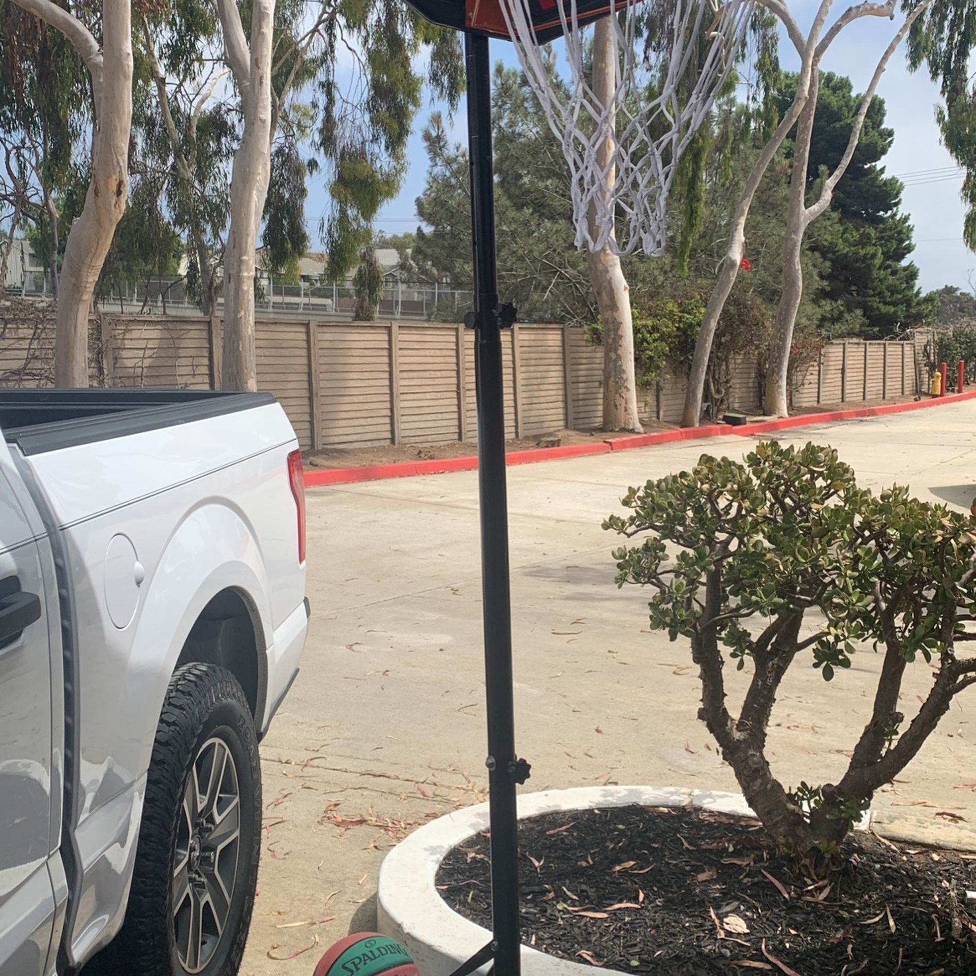 Basketball Hoop With Basketball
