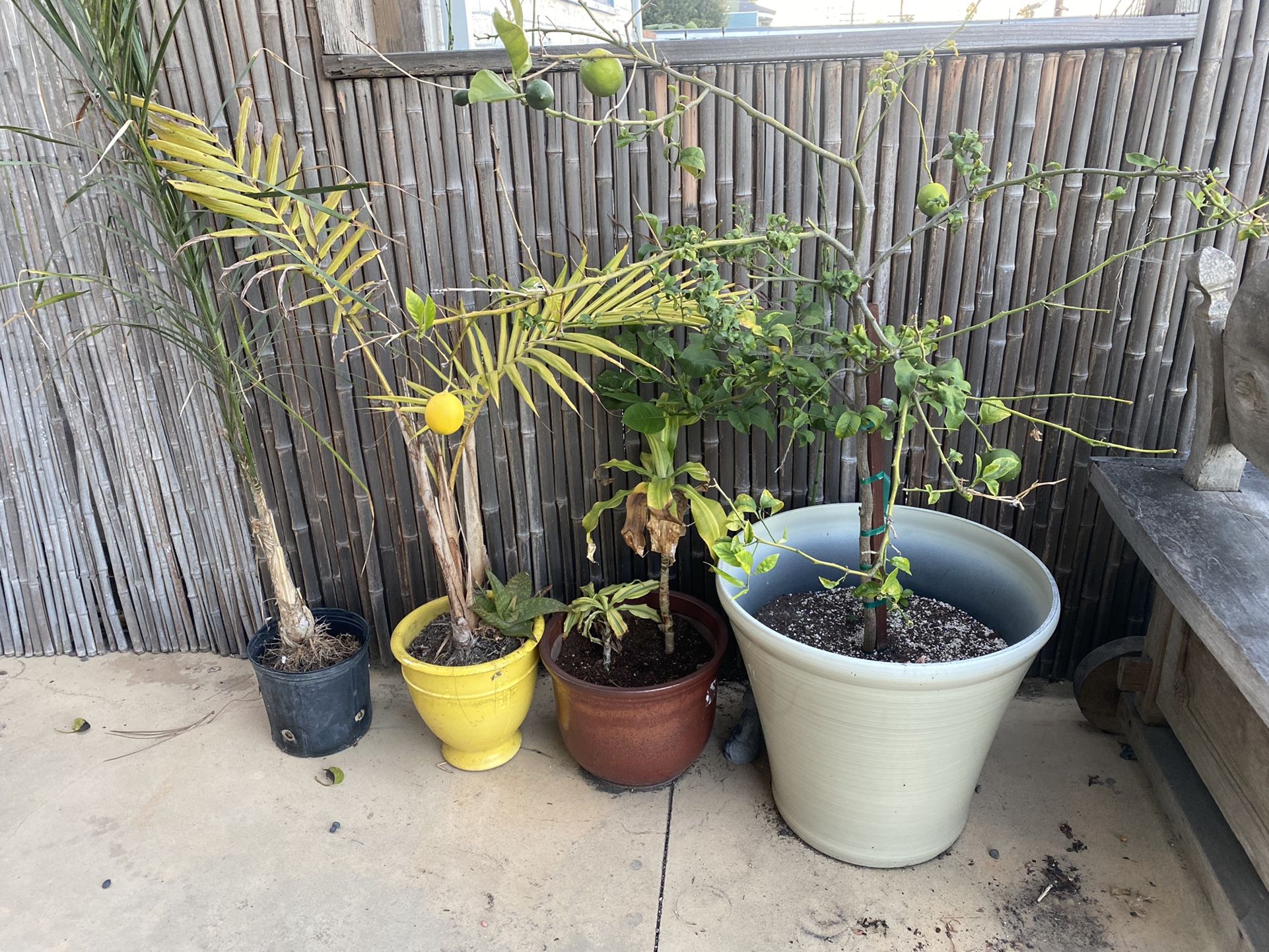Free- 1926 Oxford Ave Cardiff-