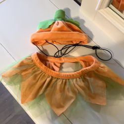 Cute Pumpkin Fairy Costume For Baby Or Puppy Thumbnail