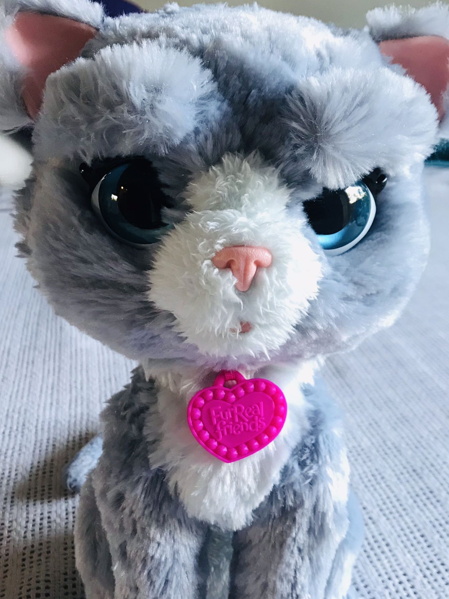 FurReal Friends Bootsie Cat Battery Operated Cute Silly Toy Cat With Sounds And Movement Very Entertaining And Fun
