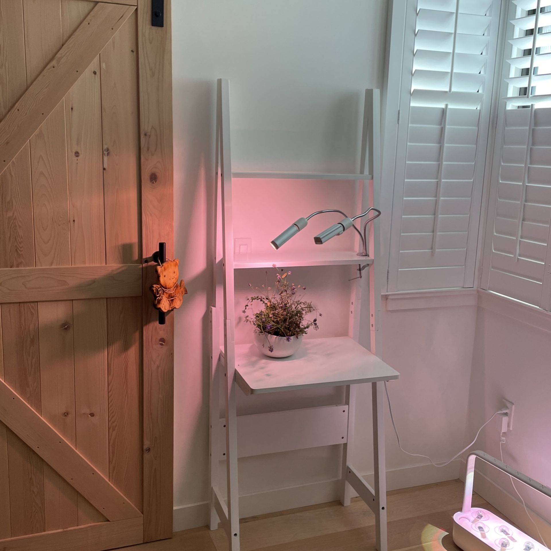 White Wall/book Shelf